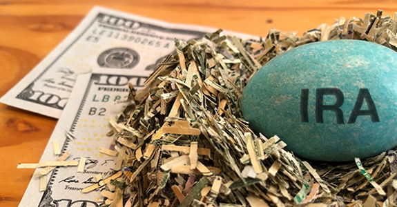 Nest with paper money under it and egg in it